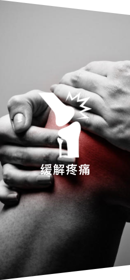 效益31